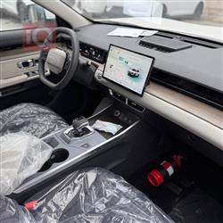 جيتور داشينج